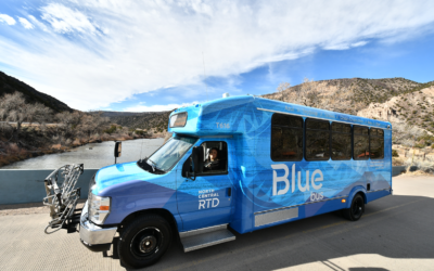 Welcome to the Blue Bus!